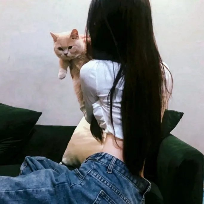 他们爱的故事